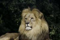 IMG_8124.jpg