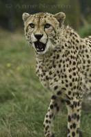 IMG_8485.jpg