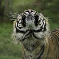 IMG_8545.jpg