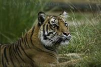 IMG_8629.jpg